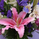 Houston Florist - Flower Delivery and Gift Baskets - Elaine's Florist ...